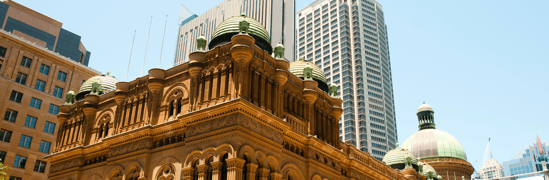 Banner Content Background