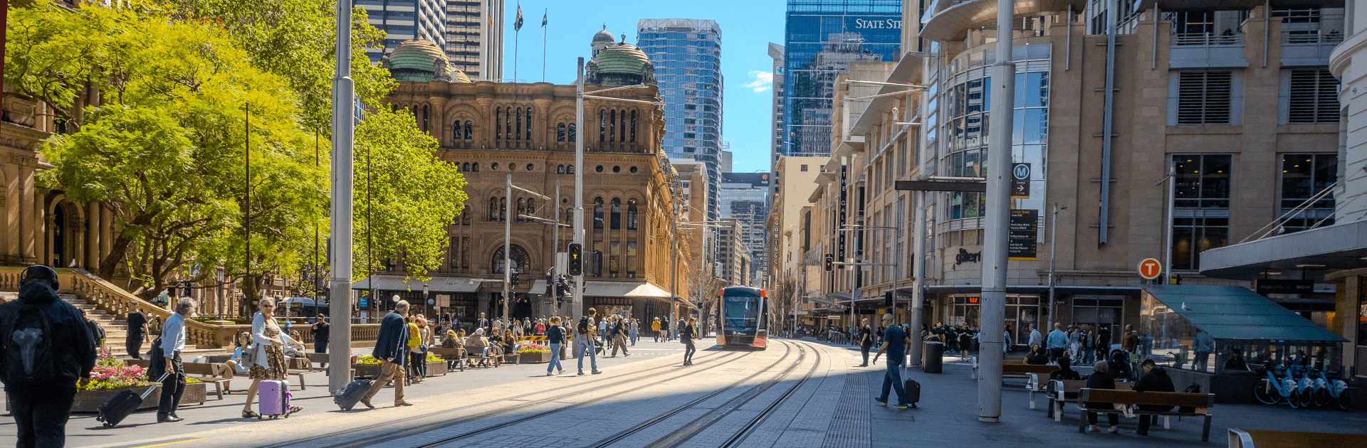 Banner Content Background